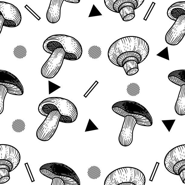 黑白集菌健康食品图片下载