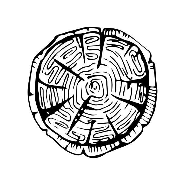 树干年轮切割孤立的近距离矢量卡通插图集，黑白和棕色彩色木桩切片图片下载