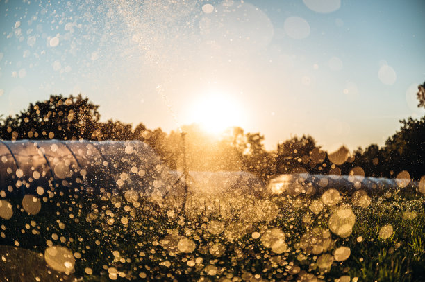 人工灌溉采用日落时分浇水的灌溉系统图片下载