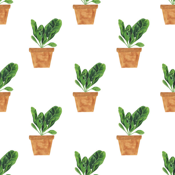 水彩菠菜在陶罐无缝图案的白色背景。草木手绘插画。新鲜的绿叶沙拉。健康食品。图片下载