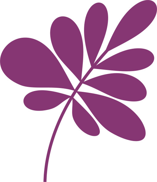 盆栽外来植物的叶子。室内植物装饰家。图片下载