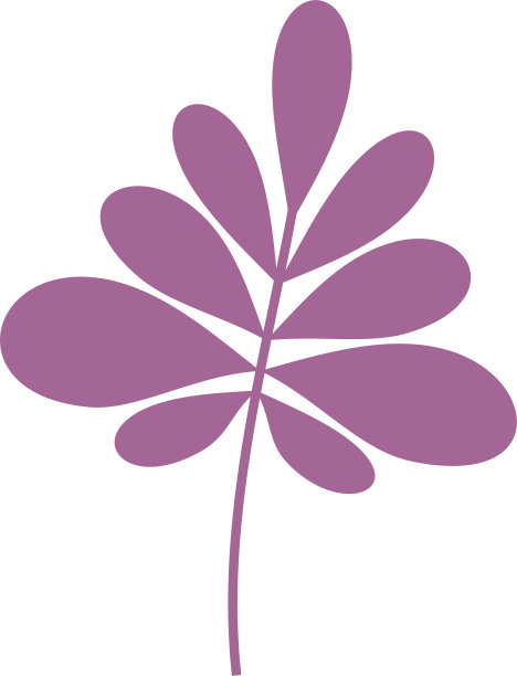 盆栽外来植物的叶子。室内植物装饰家。图片下载