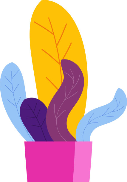 盆栽植物。花瓶里的室内植物。家居装饰。图片下载