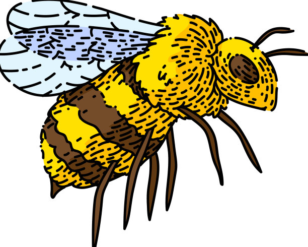 蜂蜜手绘素描图片下载