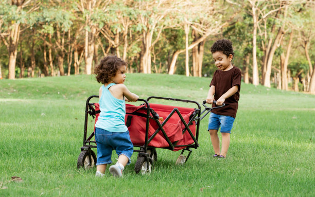 白种人的小可爱可爱的卷发男孩和女孩拉着红色的车，快乐地说着话，笑着，一起在户外公园的绿色田野里玩耍。教育学习理念。图片下载