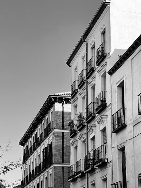 带有阳台和窗户的建筑物的垂直灰度拍摄图片下载