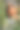 美丽的白人妇女戴着草帽和亚麻裙坐在花园里，篮子里装满了水果和蔬菜。秋收和素食有机收成。图片下载