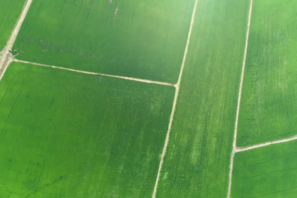 绿色稻田鸟瞰泰国乡村图片下载