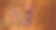 羽毛球球拍和毽子在木制背景顶视图空间的文字。羽毛球的概念图片下载