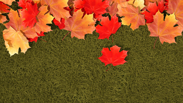 秋叶背景图片下载