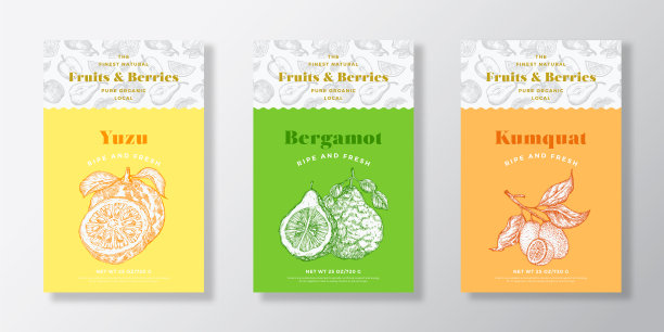 水果和浆果图案标签模板集图片下载