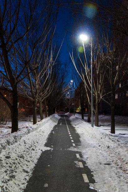 绿色的生菜生长在花园里。在温室里种植沙拉。图片下载