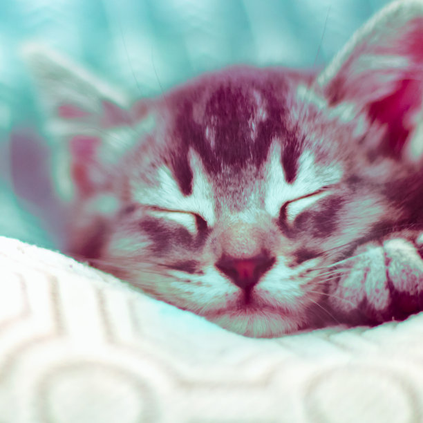 好好睡吧，我亲爱的朋友图片下载