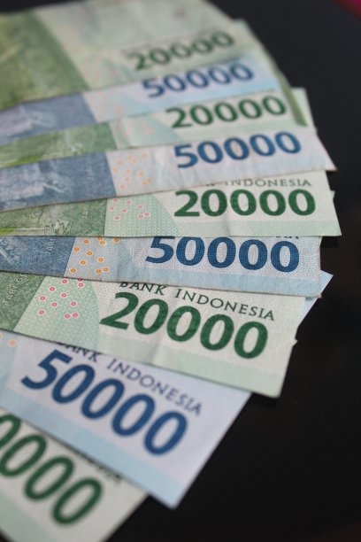 几个卢比钞票图片下载