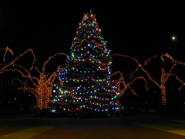 圣诞树外图片下载