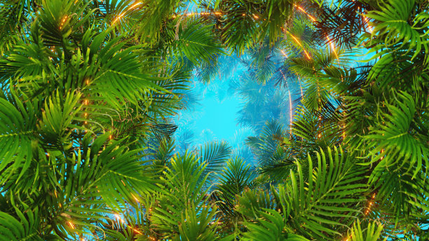 夏日棕榈与复古光图片下载