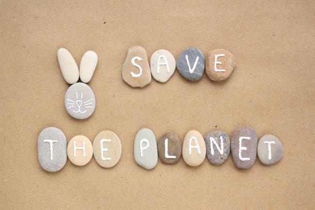 保存在牛皮纸背景上的鹅卵石上的行星字母和兔子图片下载