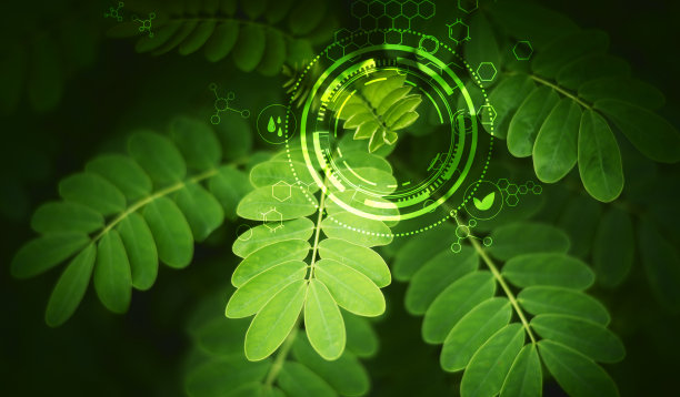 环境清洁，无二氧化碳排放。现代生态环保技术，绿叶排放理念，全球变暖。图片下载