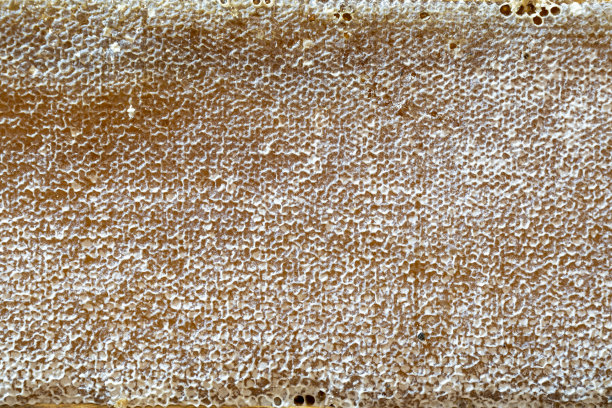 有机蜂箱专业蜂蜜生产图片下载