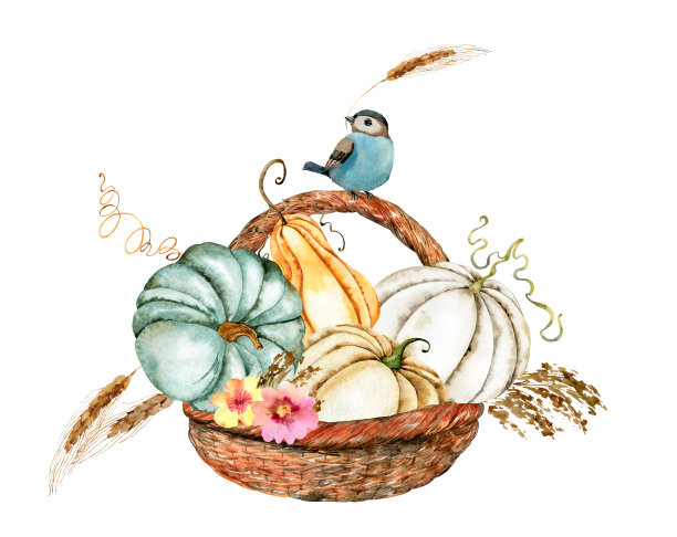 水彩插图下降图片下载