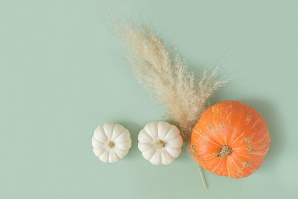 秋天的成分。绿色的书桌上放着南瓜和干草原草。平铺，俯视图，拷贝空间。北欧，hygge，舒适的家庭概念。感恩节装饰。万圣节现代邀请模拟图片下载