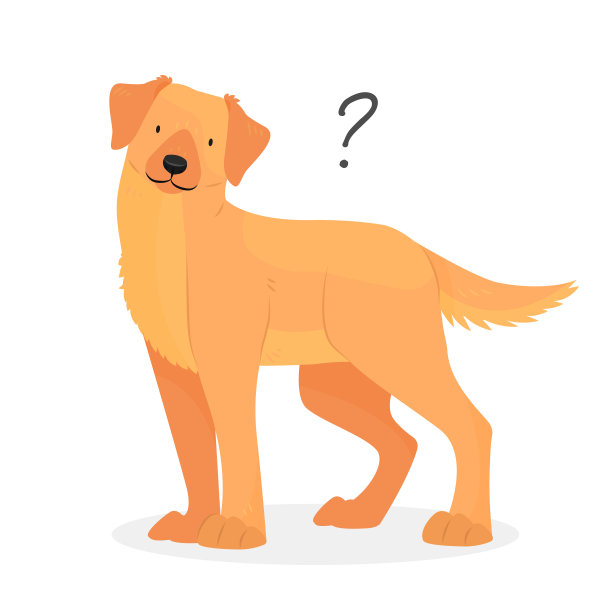 带问号的拉布拉多或金毛猎犬。狗的问题。一只歪着头的不明事理的狗。向量宠物插图。图片下载