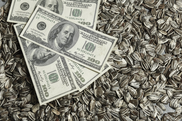 美元纸币与葵花籽、油品的价值观念。图片下载
