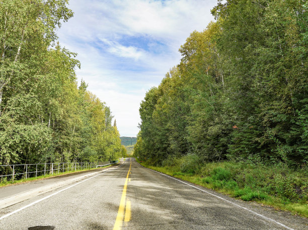 公路通过桦树林地在阿拉斯加，美国图片下载