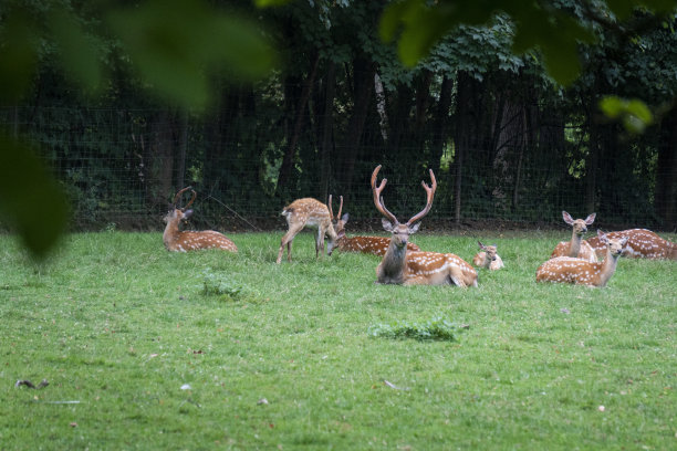 动物园图片下载