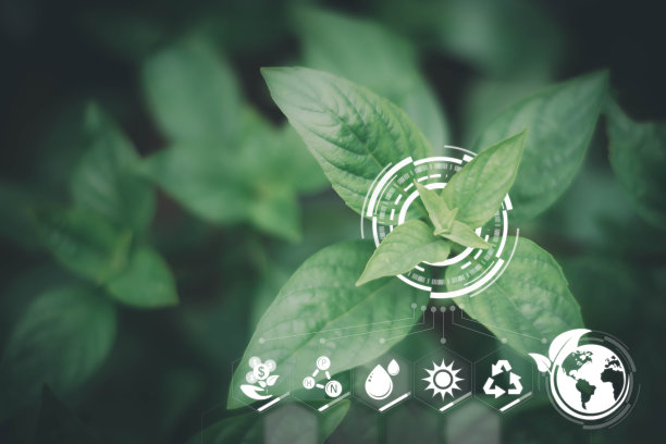 模糊的绿叶背景和智能技术与物联网未来农业概念，可持续能源，Metaverse, AI未来智能虚拟界面。图片下载