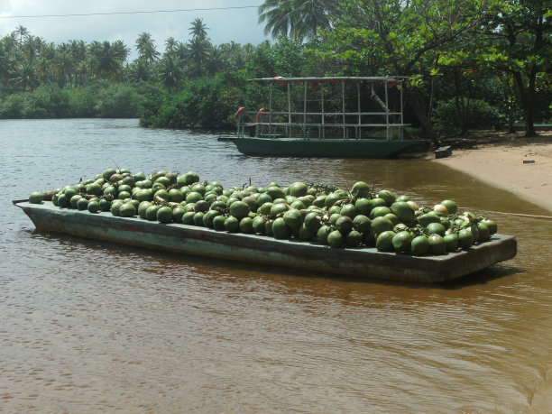驳船和西瓜图片下载