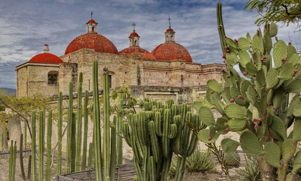 墨西哥米特拉，仙人掌后面的圣巴勃罗教堂图片下载