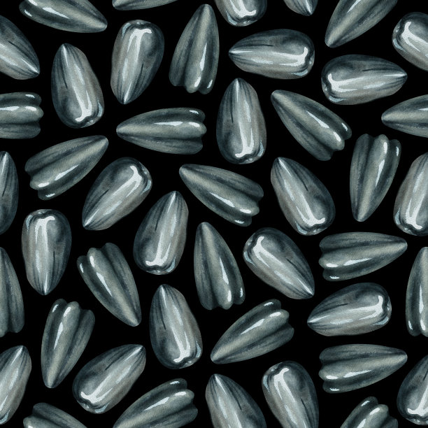 葵花籽无缝图案。水彩插图。孤立在黑色背景上。图片下载