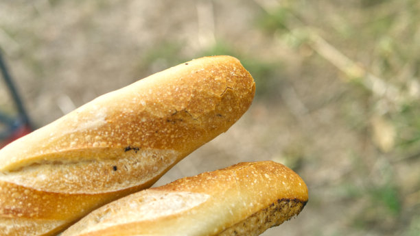 法国长棍面包,羊角面包图片下载