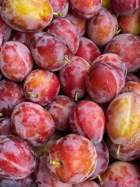 完整的框架形象新鲜农产品市场成堆的成熟维多利亚李子(Prunus domestica '维多利亚')，提高的看法图片下载