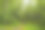 接近挪威布里克斯达尔冰川的山谷中的植被。图片下载