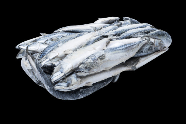 冷冻鲭鱼孤立。冷冻鱼群。冰的鱼。黑色背景上孤立着一堆鲭鱼。鲭鱼的模式。鲭鱼口感。鱼的背景图片下载