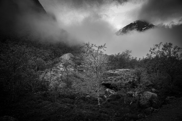 接近挪威布里克斯达尔冰川的山谷中的植被。图片下载