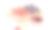 素描矢量插图寿司卷组和筷子。咖啡厅海报、招牌、亚洲菜菜单装饰、广告横幅设计图片下载