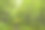 接近挪威布里克斯达尔冰川的山谷中的植被。图片下载