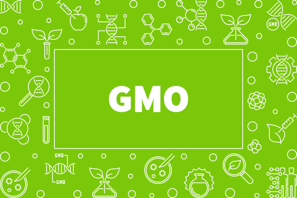 GMO轮廓水平框架。向量概念说明图片下载