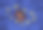 西班牙护照与欧盟旗帜图片下载