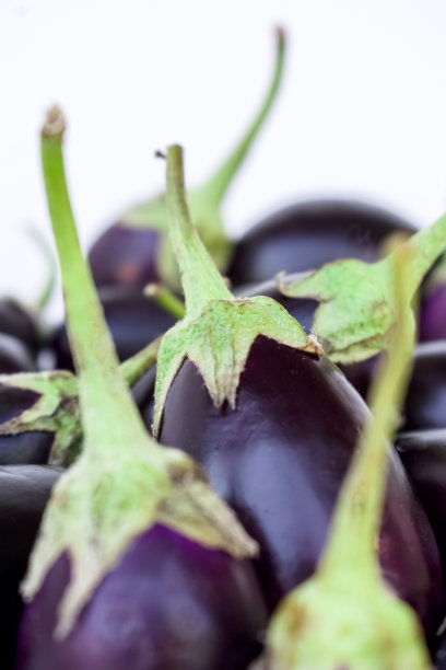 新鲜的生小茄子孤立在白色背景图片下载