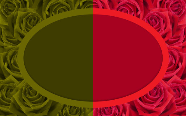 半红和黄色椭圆框架上的一半红和黄玫瑰背景，卡，名片，旗帜，模板，复制空间图片下载