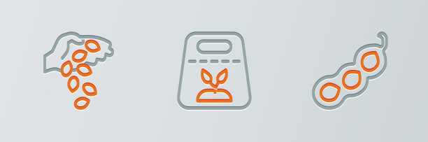 固定一行绿豌豆种子，装满种子图片下载