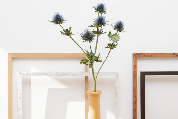 白色墙壁上的木框和鲜花。简约艺术，家居装饰，模型。图片下载