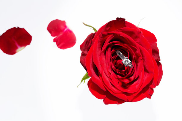 红玫瑰和结婚戒指图片下载