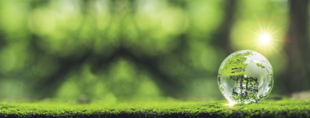 阳光与地球水晶或可持续地球玻璃在绿色苔藓自然背景下的生态环境森林。树保育环境理念，保护地球生态。图片下载
