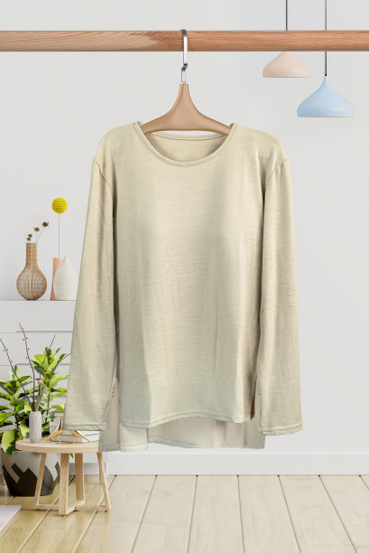 时尚女装衬衫正面图片下载