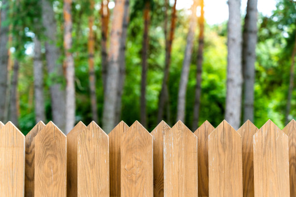 乡村的木栅栏在松林的对面。图片下载